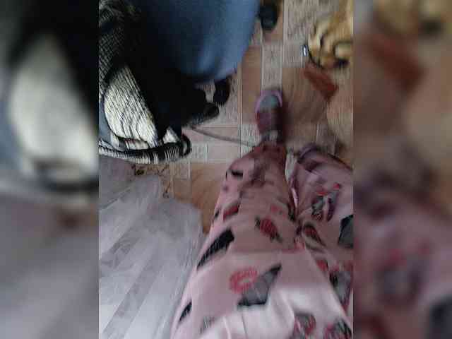ZaraSss webcam