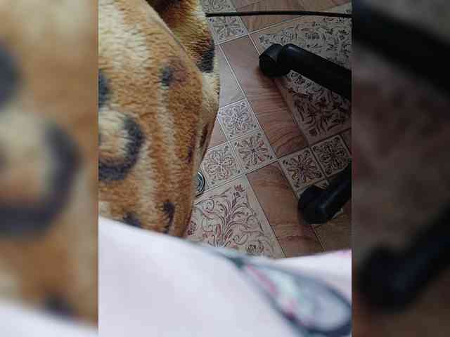 ZaraSss webcam