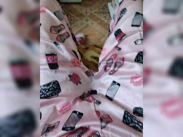 ZaraSss