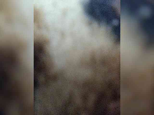 ZaraSss webcam