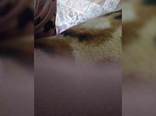 ZaraSss webcam