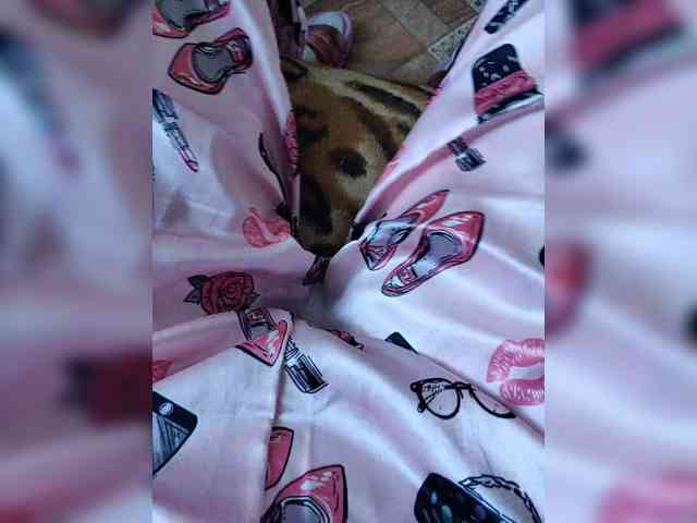 ZaraSss