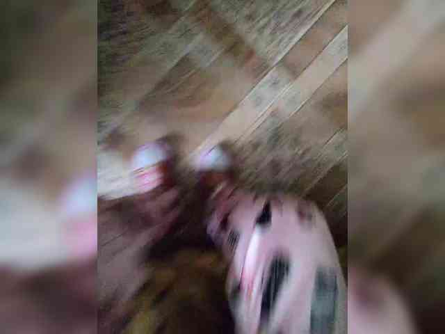 ZaraSss webcam