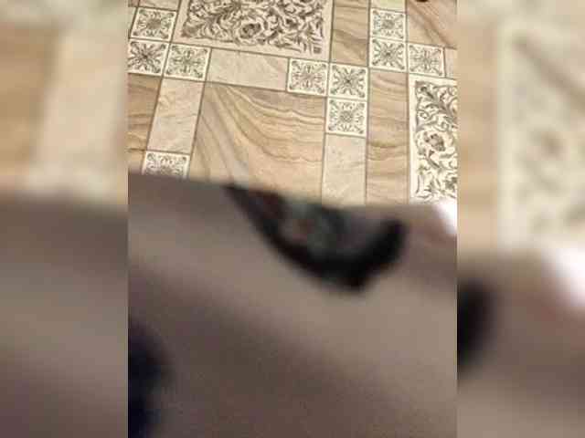 ZaraSss