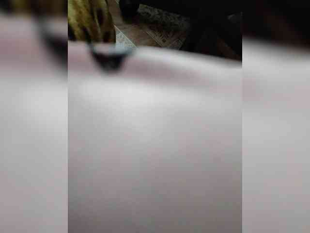 ZaraSss webcam