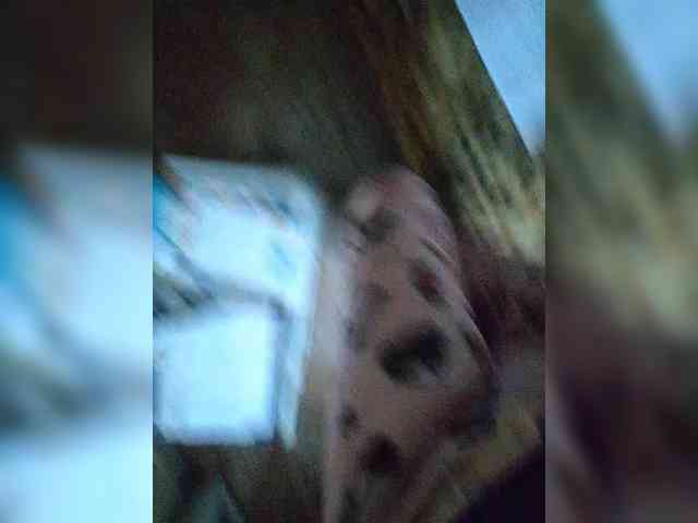 ZaraSss webcam