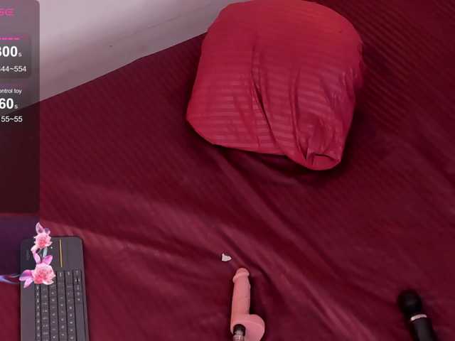 Katta-Gil live webcam show