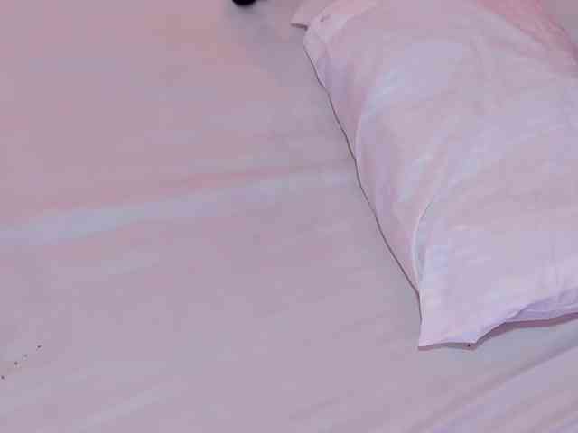 Katta-Gil webcam