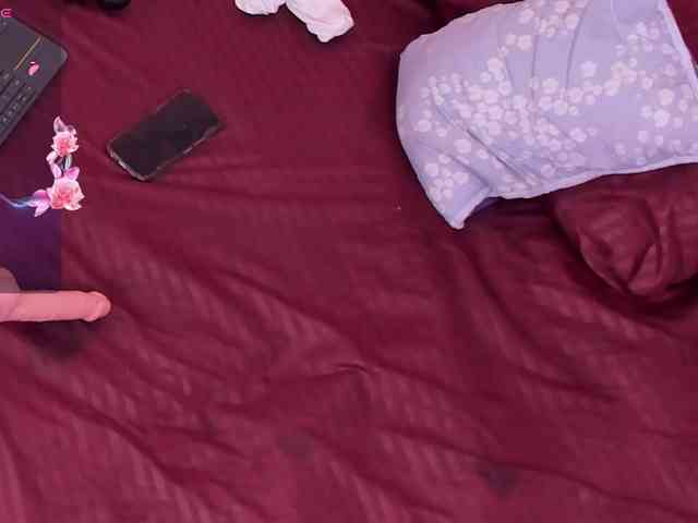Katta-Gil webcam