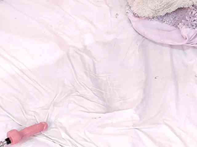 Katta-Gil webcam