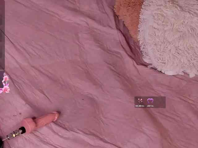 Katta-Gil webcam