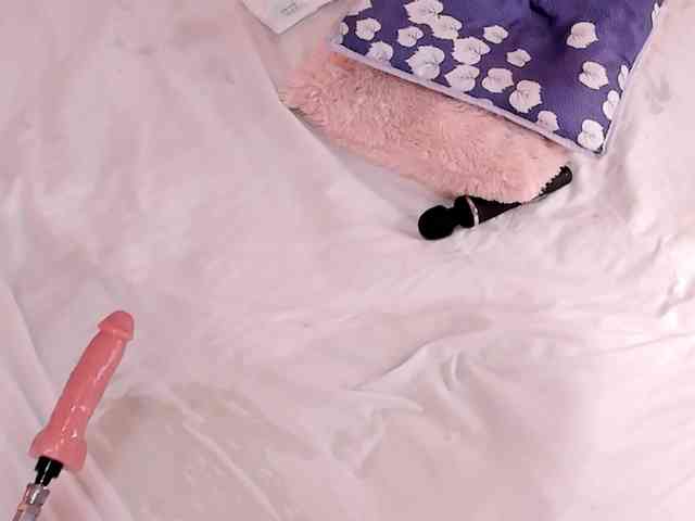 Katta-Gil webcam