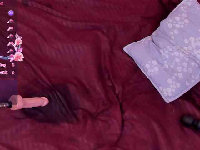 Katta-Gil webcam