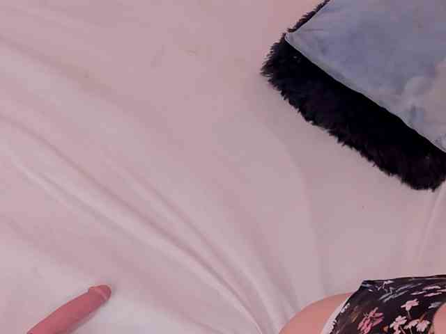 Katta-Gil webcam