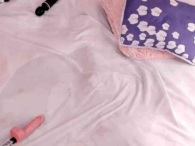 Katta-Gil webcam