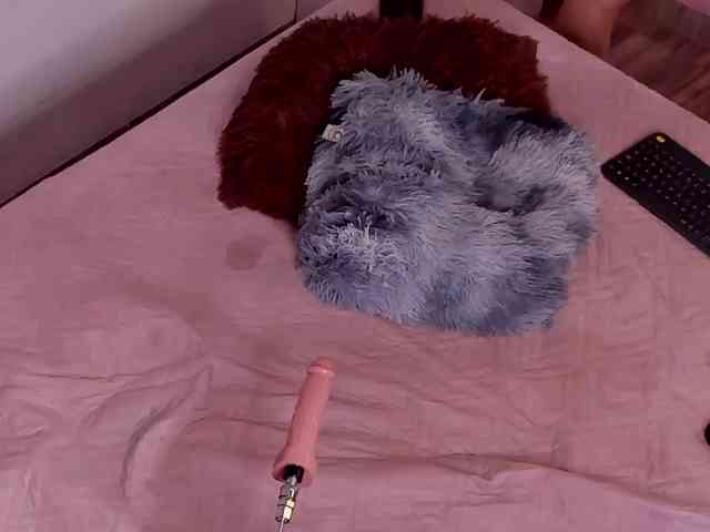 Katta-Gil webcam