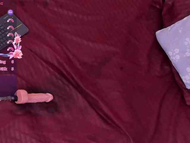 Katta-Gil webcam
