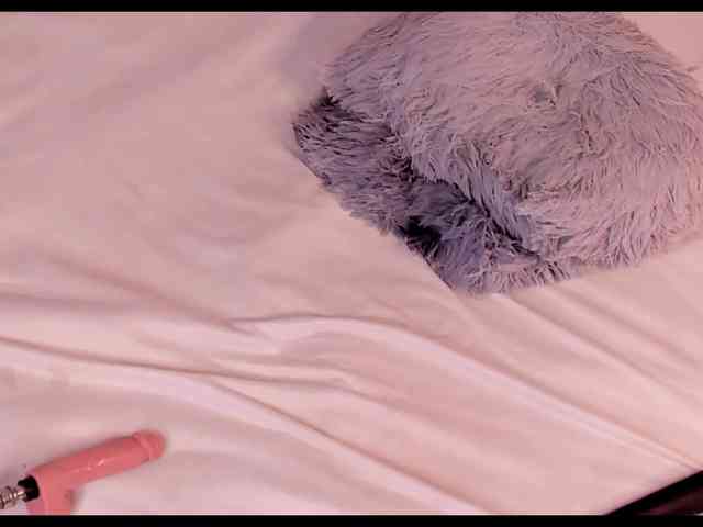 Katta-Gil webcam
