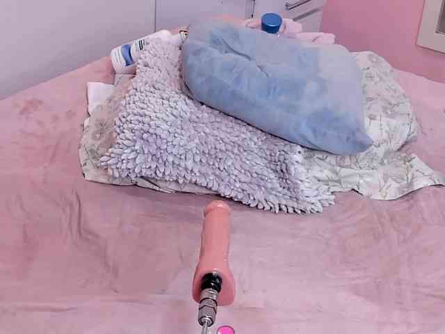 Katta-Gil webcam