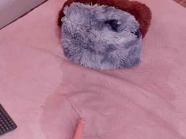 Katta-Gil webcam