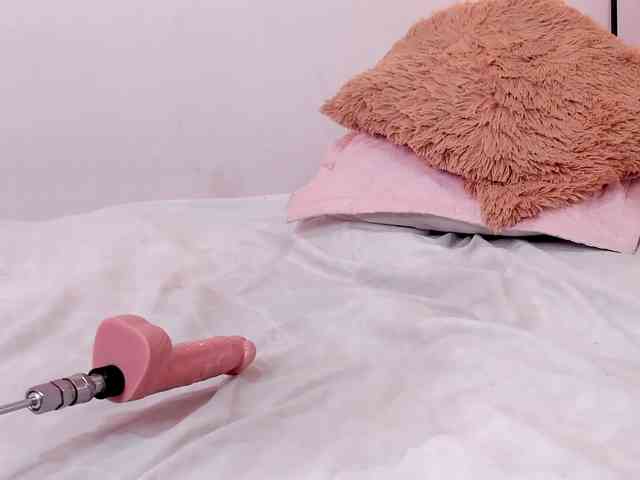Katta-Gil webcam