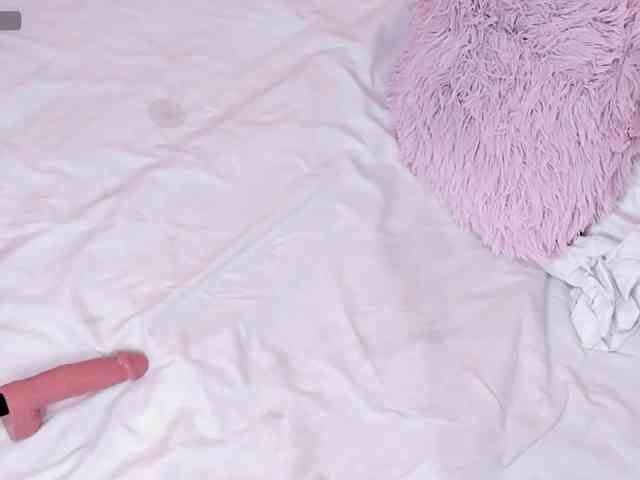 Katta-Gil webcam