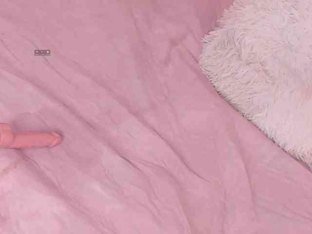 Katta-Gil webcam