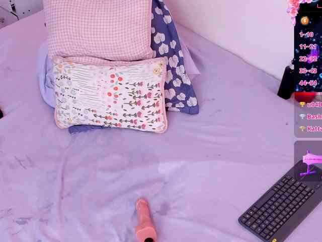 Katta-Gil webcam