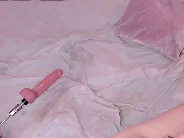 Katta-Gil webcam