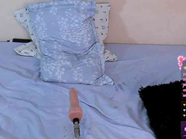 Katta-Gil webcam