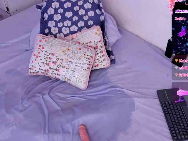 Katta-Gil webcam