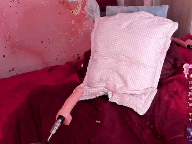 Katta-Gil webcam