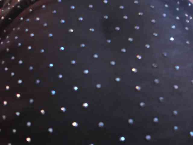 Dollyiaa Dollyiaa