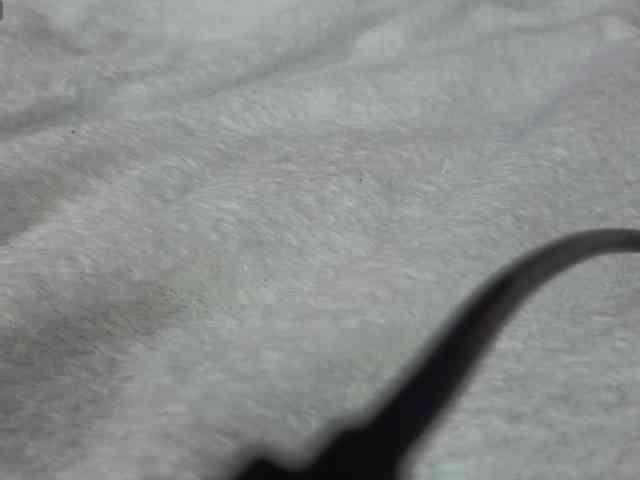 FemdomLadyMaria webcam