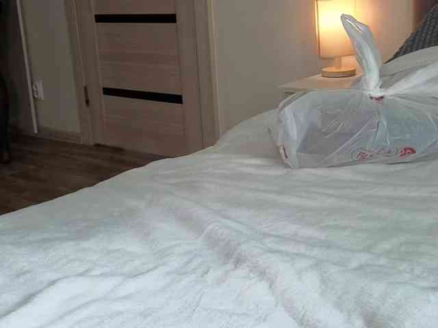 FemdomLadyMaria webcam