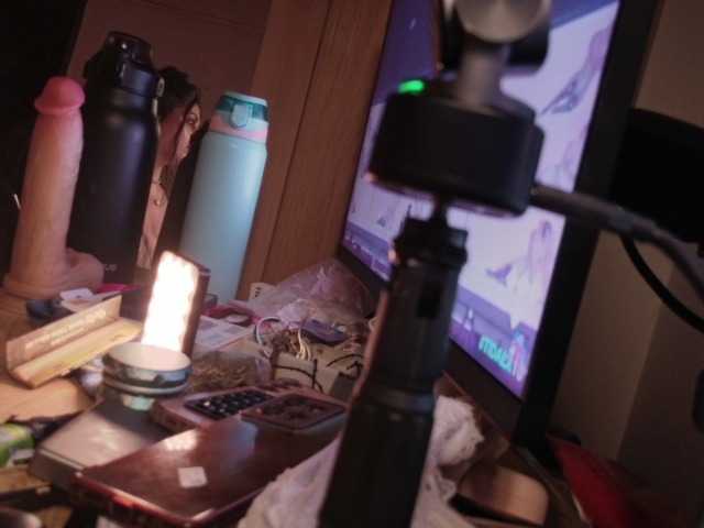 thesavannah live webcam show