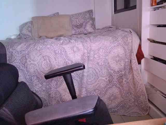 thesavannah webcam