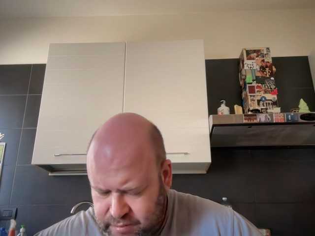 italianbear