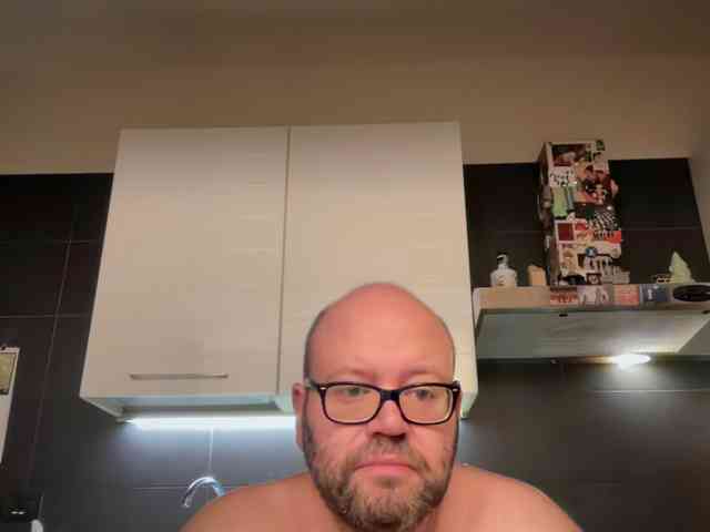 italianbear