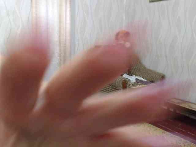 LedyMargaret webcam