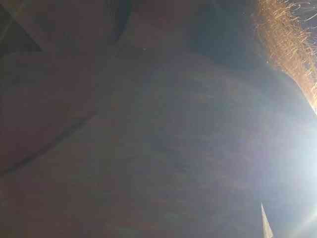 AlejandraDelane webcam