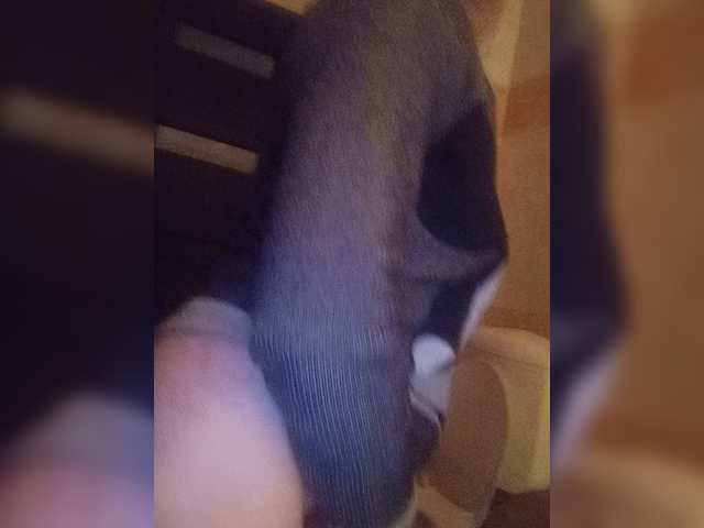 XbogdyX