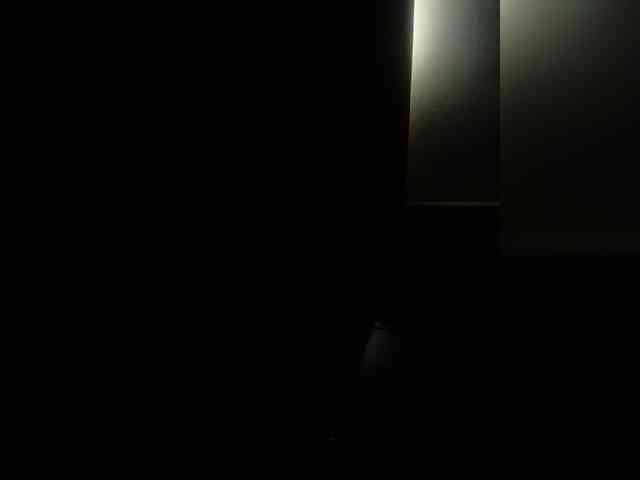 XbogdyX webcam