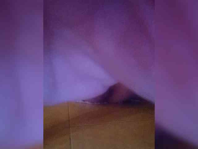 XbogdyX webcam