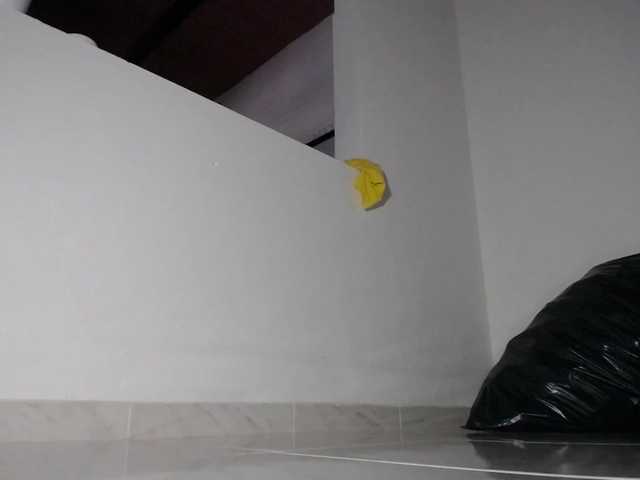 bulmaamilk live webcam show