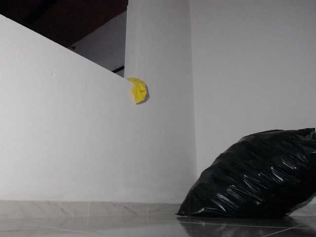 bulmaamilk live webcam show