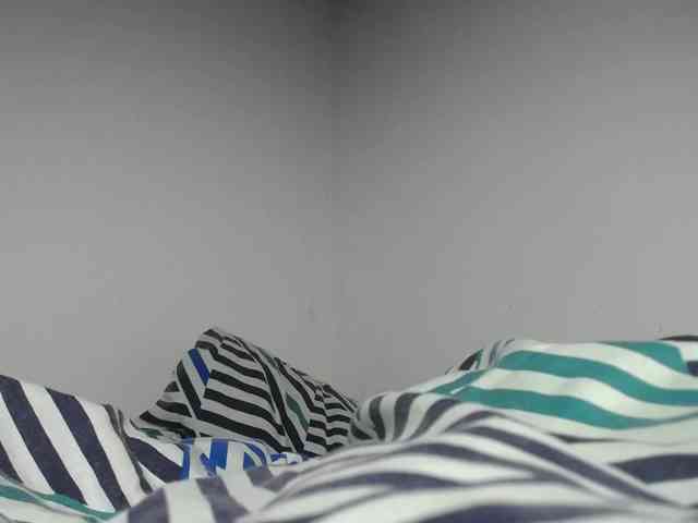 bulmaamilk webcam