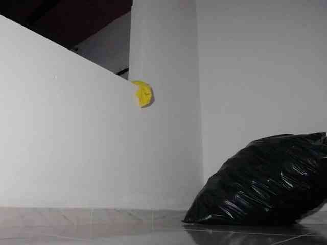 bulmaamilk webcam