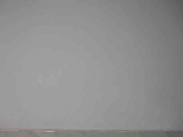 bulmaamilk webcam