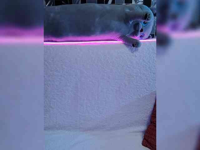 live nude chat Angel-SEX-Dream